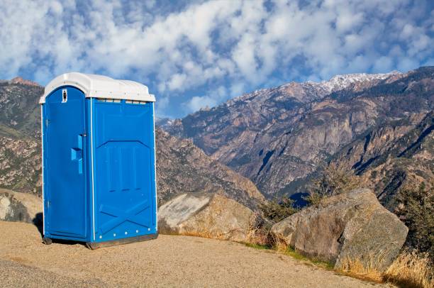 Best Short-Term Portable Toilet Rental  in Lakeview, MI