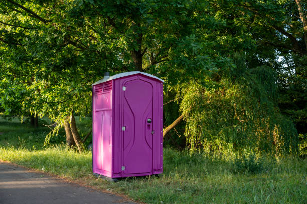 Best Portable Toilets with Baby Changing Stations  in Lakeview, MI