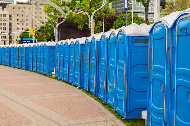 Best Portable Restrooms for Agricultural Sites  in Lakeview, MI